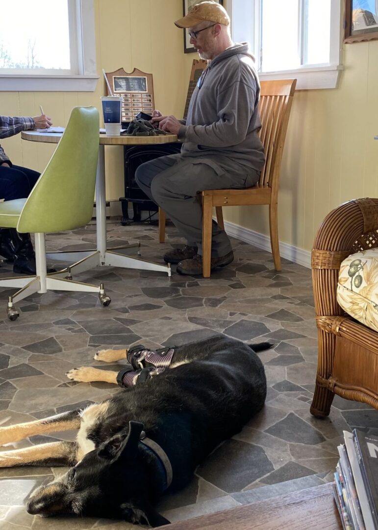 Peter Lehman sits at a table while his black dog lays on the floor.