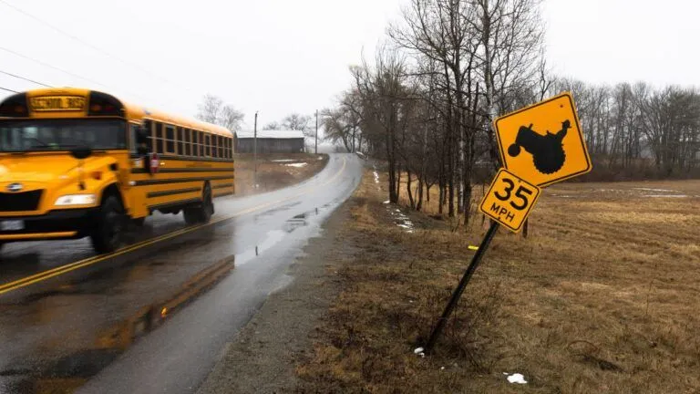 a school bus travels down a road.