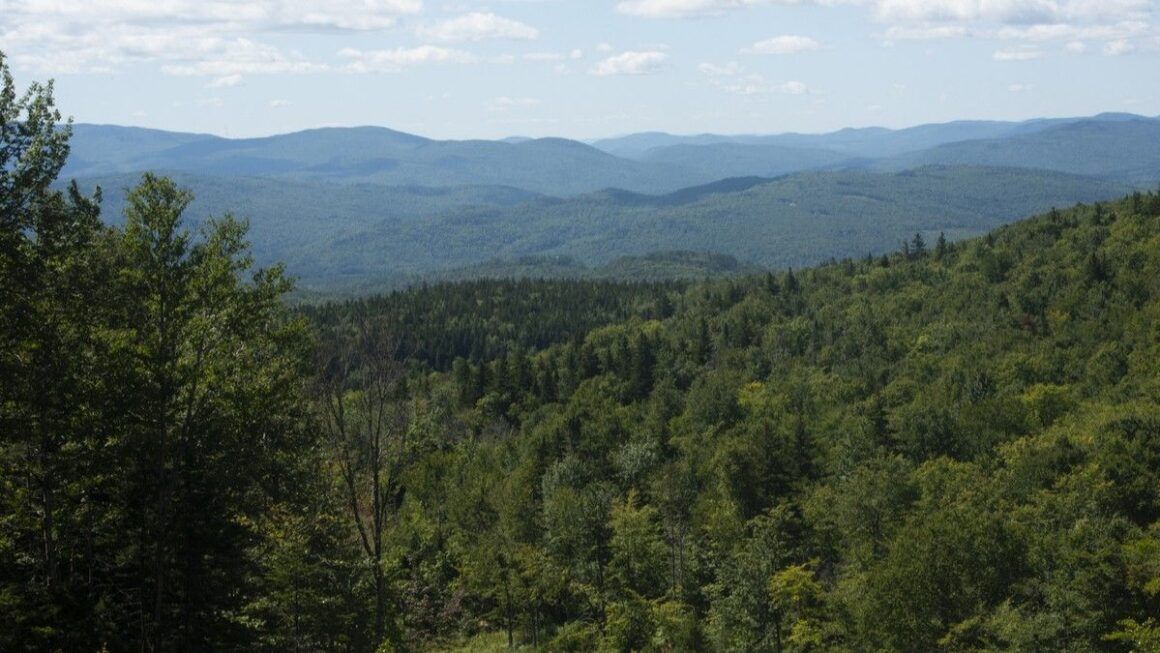 view from black mountain.