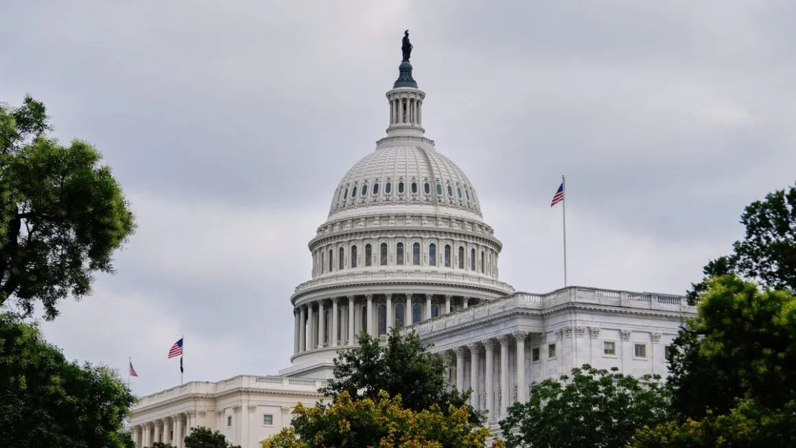 The U.S. Capitol Building.