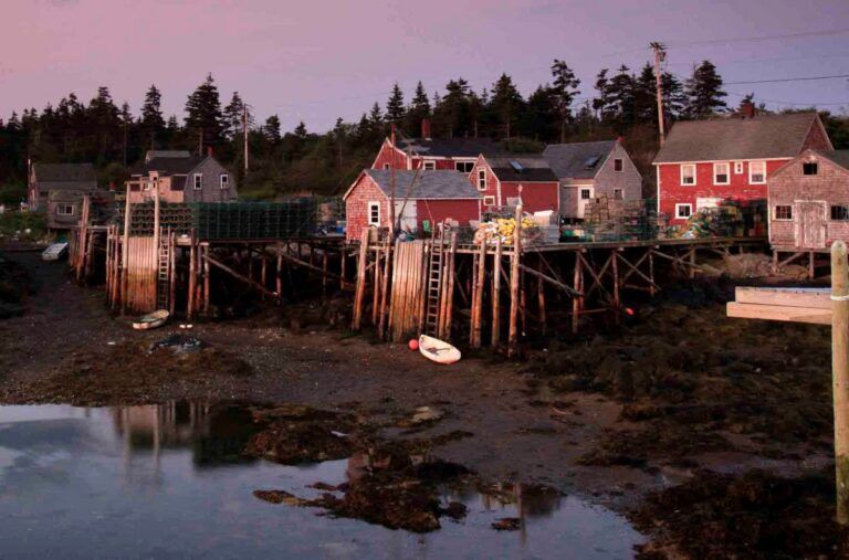 Fishing wharves at low tide.