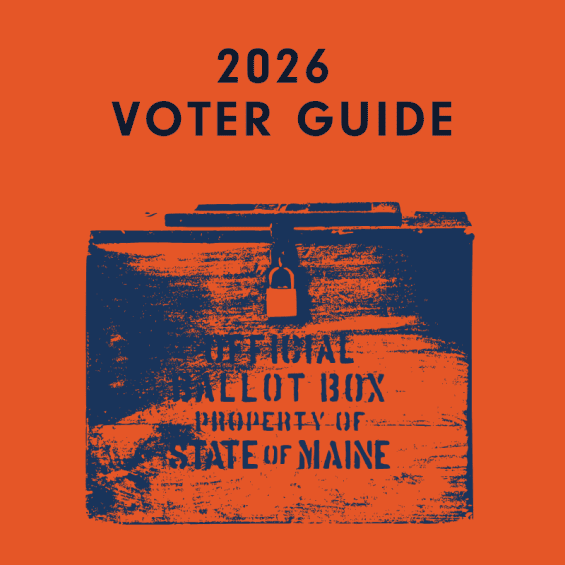 graphic for the 2026 voter guide page
