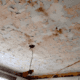 Peeling ceiling paint
