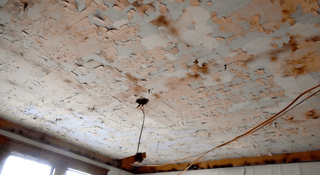 orange paint peels away from a home's ceiling