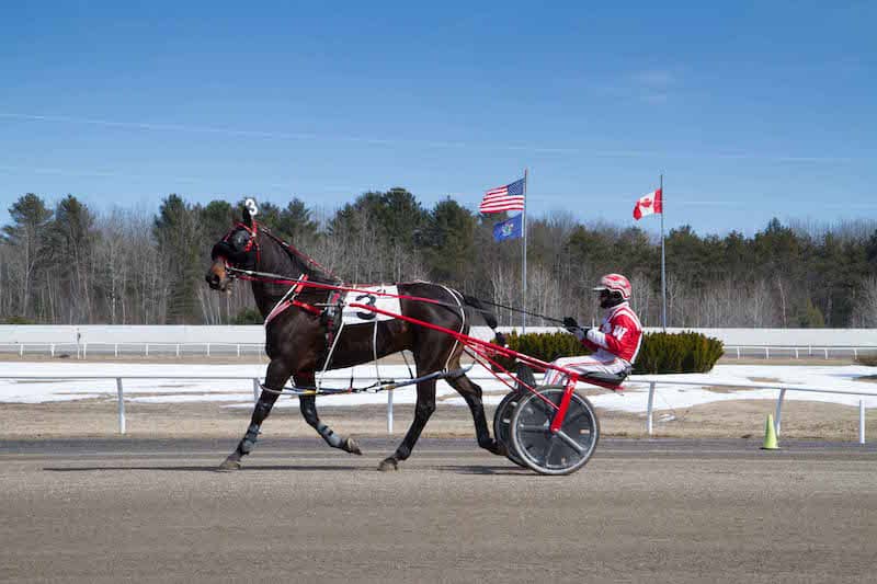 Maine harness racer