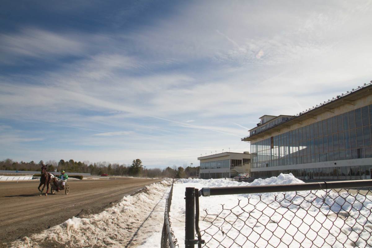 Harness racing at Scarborough Downs