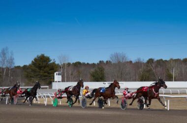 Harness racing at Scarborough Downs