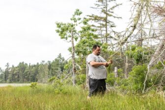 Jon Loring, who was arrested last year for operating a meth lab, harvests sweetgrass as part of the Penobscot Healing to Wellness Court cultural healing programming. Photo by Greta Rybus.