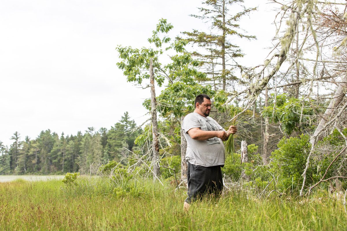Jon Loring, who was arrested last year for operating a meth lab, harvests sweetgrass as part of the Penobscot Healing to Wellness Court cultural healing programming. Photo by Greta Rybus.