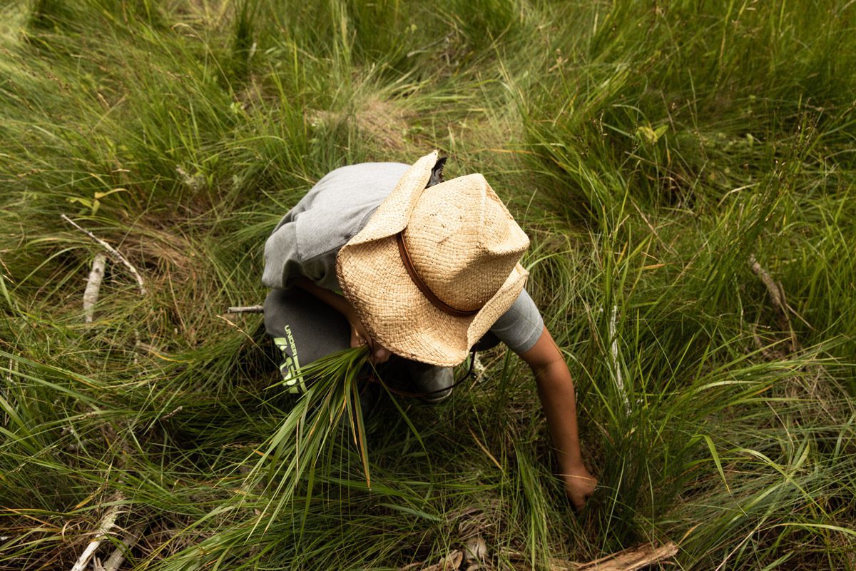 Accompanying his father, Jon Loring, who is taking part in the Penobscot Healing to Wellness Court program, eight-year-old Lydon Loring harvests sweetgrass and explores the tidal plains. Photo by Greta Rybus.