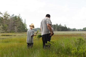 Accompanying his father, Jon Loring, who is taking part in the Penobscot Healing to Wellness Court program, eight-year-old Lydon Loring harvests sweetgrass and explores the tidal plains. Photo by Greta Rybus.