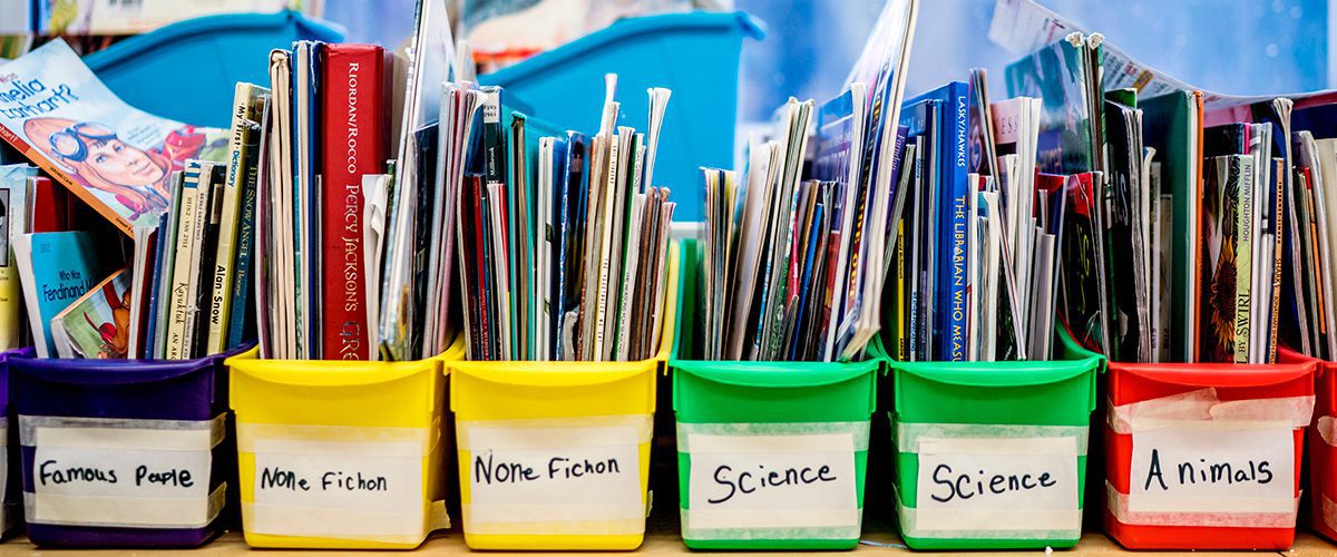 books sorted in bins by subject