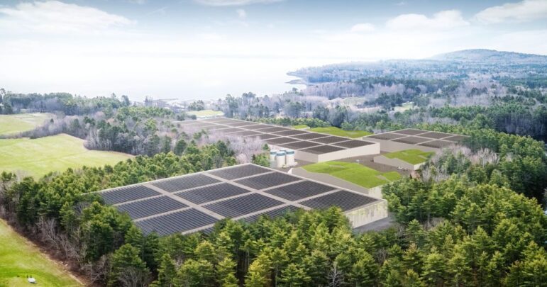 Nordic Aquafarms is planning to build a land-based salmon farm on about 40 acres in Belfast, off Route 1 near the Northport town line. Image courtesy of Nordic Aquafarms.