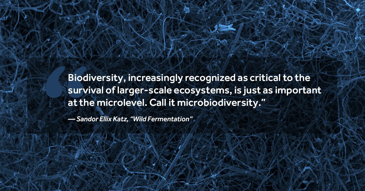 a quote graphic from sandor katz