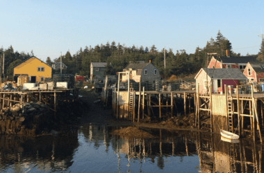 view of the matinicus harbor from the water