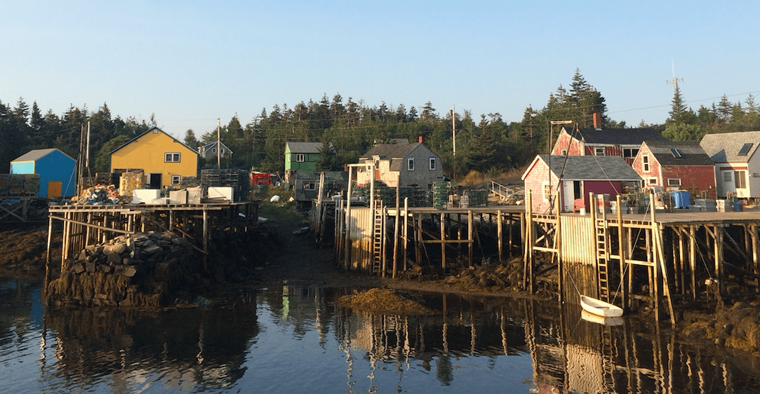 view of the matinicus harbor from the water