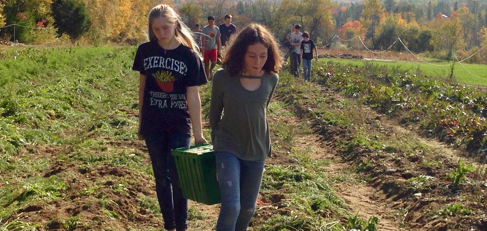 students walking through a garden