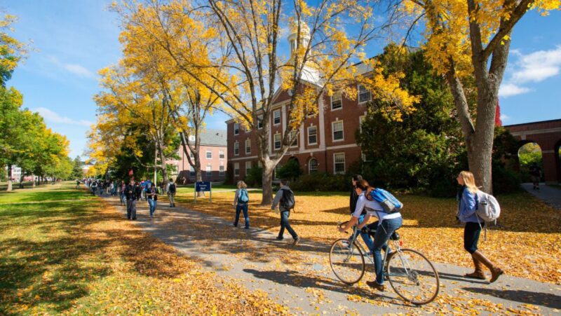 students walking at the university of maine campus
