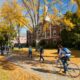 University of Maine