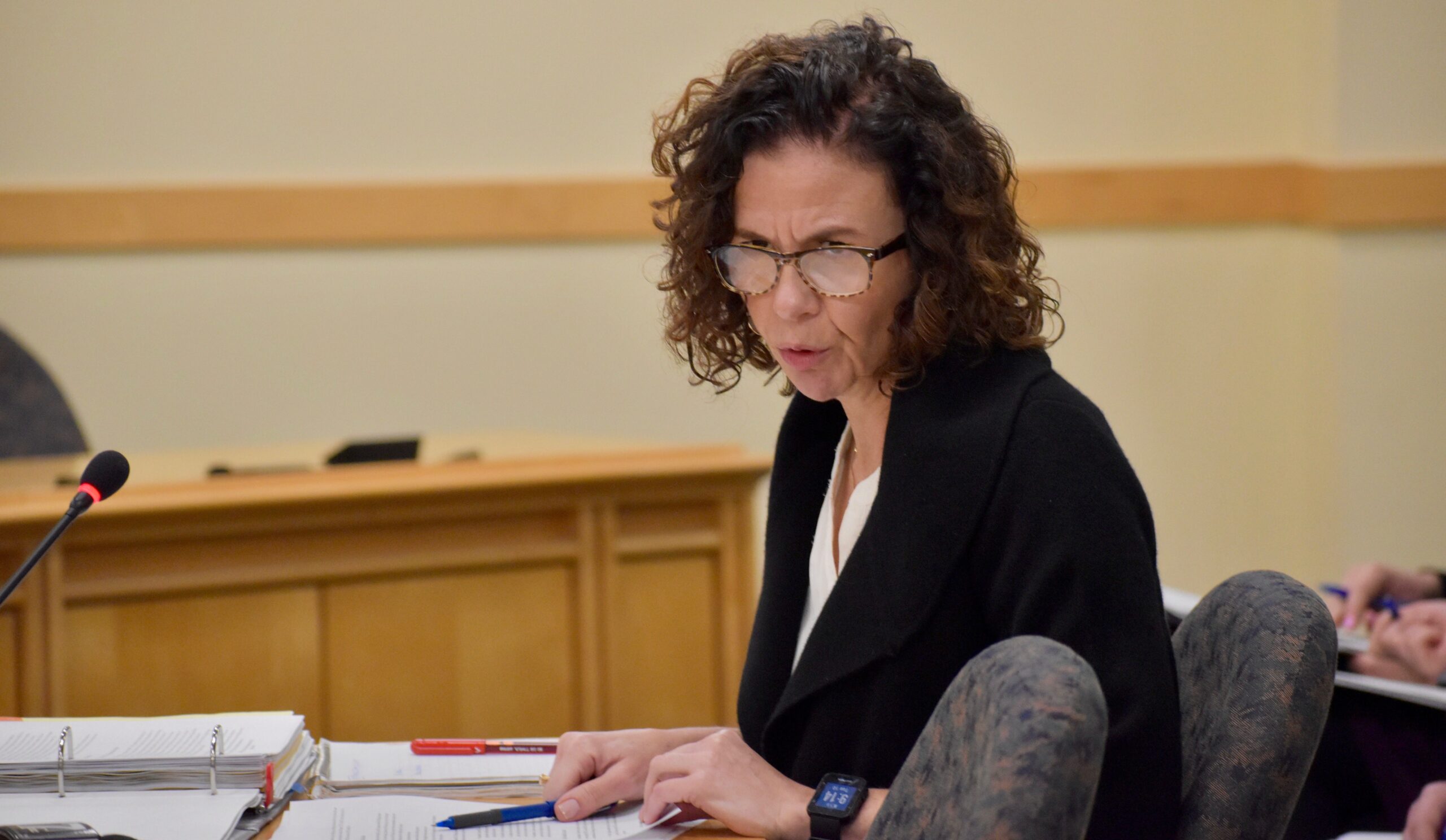 OPEGA Director Danielle Fox speaks at a hearing.