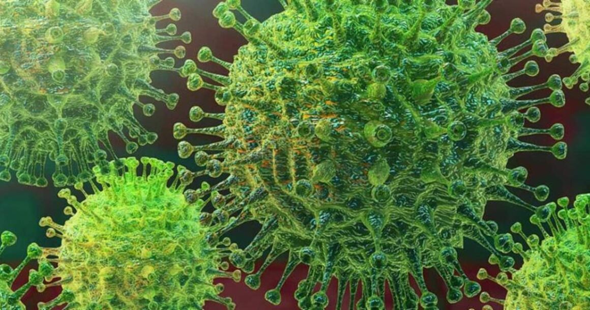 stock image of coronavirus germs