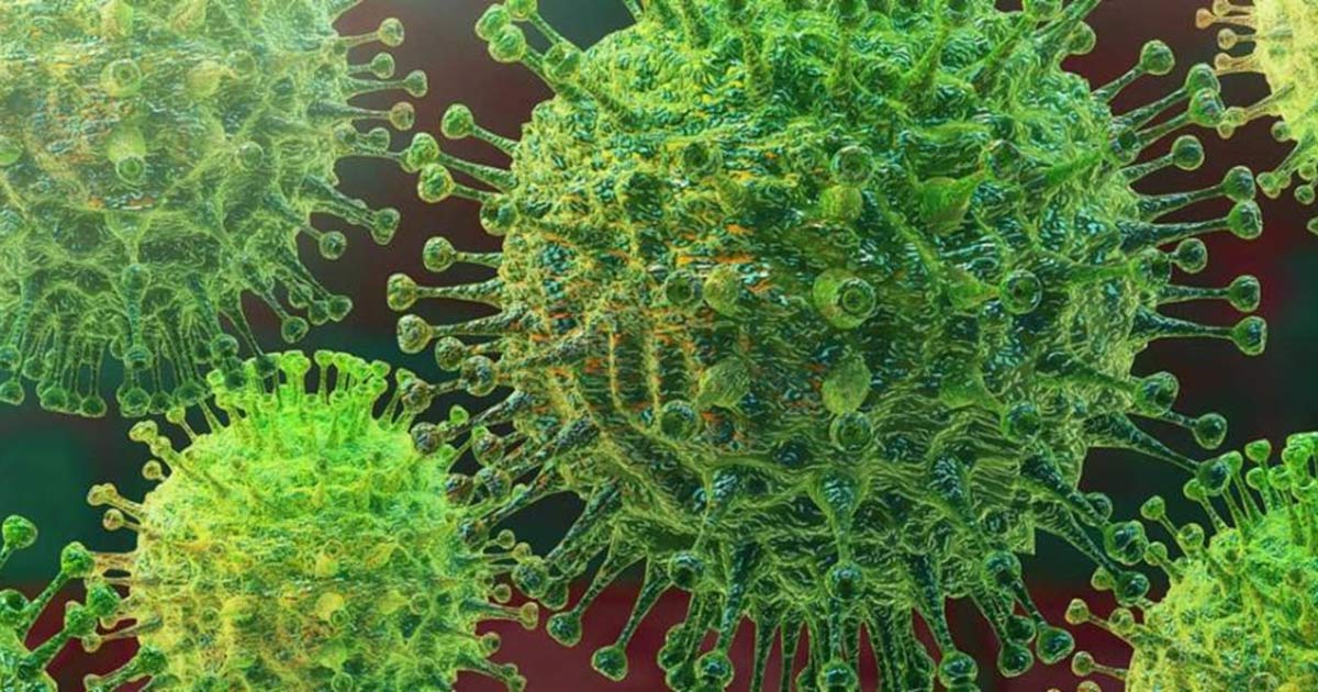 https://themainemonitor.org/wp-content/uploads/2020/03/coronavirus-1.jpg