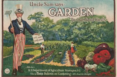 graphic that says uncle sam says garden to cut food costs and shows uncle sam at a garden