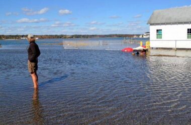 an individual stands amid coastal waters