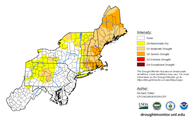 Drought conditions in Maine have led to over 900 wildfires this summer