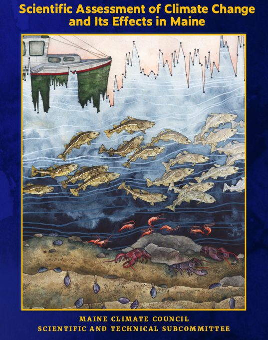 Thirty-seven scientists co-authored the 370-page "Scientific Assessment of Climate Change and Its Effects in Maine." The Maine Climate Council and citizens referenced its findings while drafting strategies for the state's Climate Action Plan. Illustration by Jill Pelto.