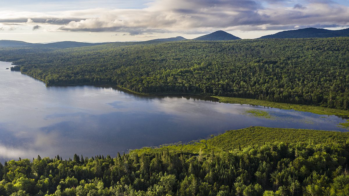 aerial view of Pleasant Lake and Pickett Mountain at site of proposed metal mine