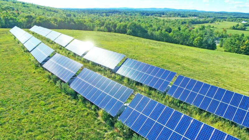 Solar power panels surrounded by green field and trees.