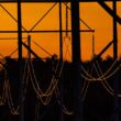transmission lines seen against an orange sky
