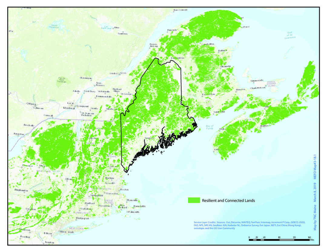 Conserving Land To Save Our Future