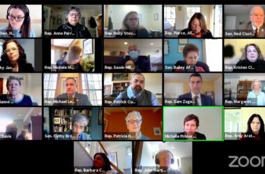 A screenshot of participants of the virtual MaineCare Health and Human Services committee meeting.