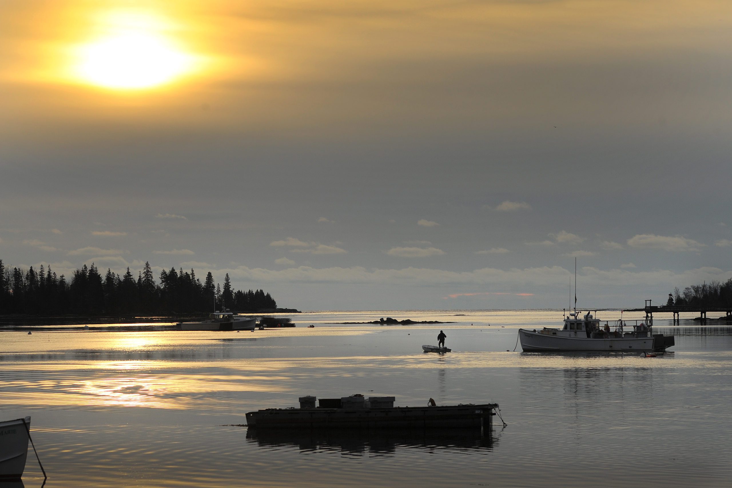 A lobster man in his skiff on the waters of tenants harbor