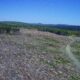 forest land clearcut area in Allagash