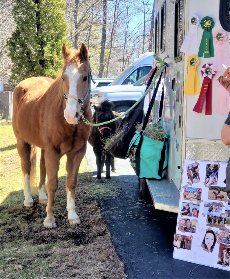 Kellys horse Stitch outside her funeral