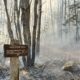 Wind-driven fires are plaguing Maine forests
