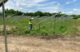 Worker inspects the construction of a community solar farm