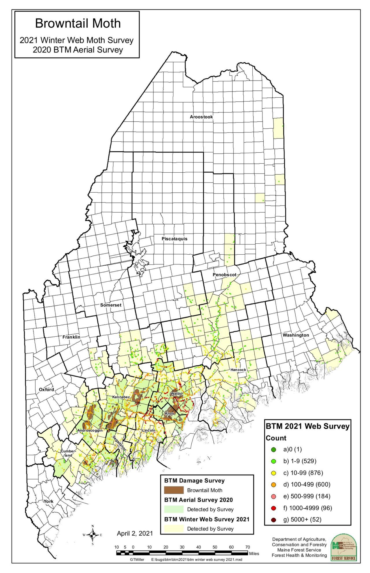 Summer of 2022: Will browntail moths be this bad again?