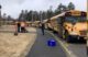 School buses line up outside of a school