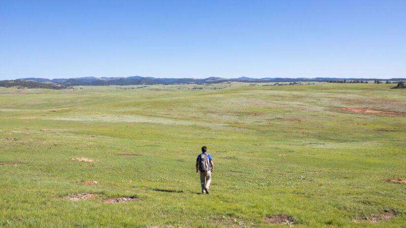 A man walking in a large open field with mountains visible in the far distance