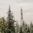 Electric transmission lines seen during the winter months surrounded by snow-covered trees.