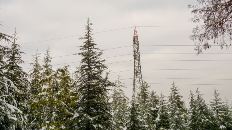 Electric transmission lines seen during the winter months surrounded by snow-covered trees.