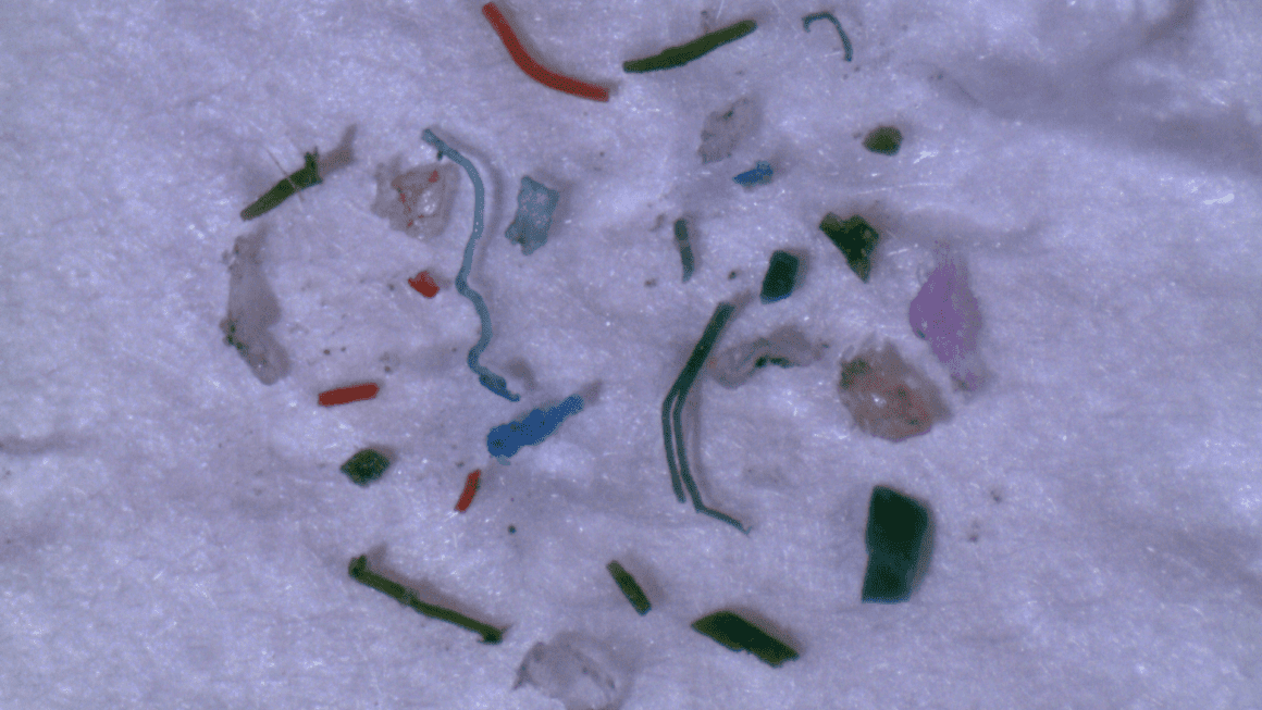 Microplastics shown in microscopic view