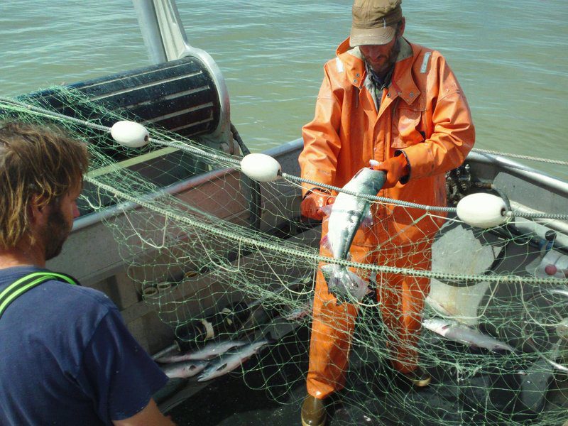 A fisherman untangles a caught fish from the net on his boat while another fisherman watches
