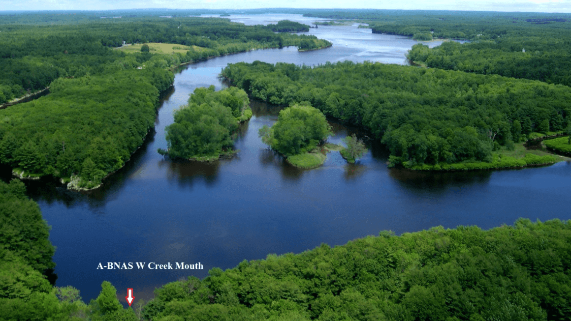 An aerial view of Western Creek