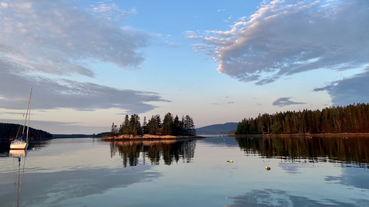View of Frenchman Bay