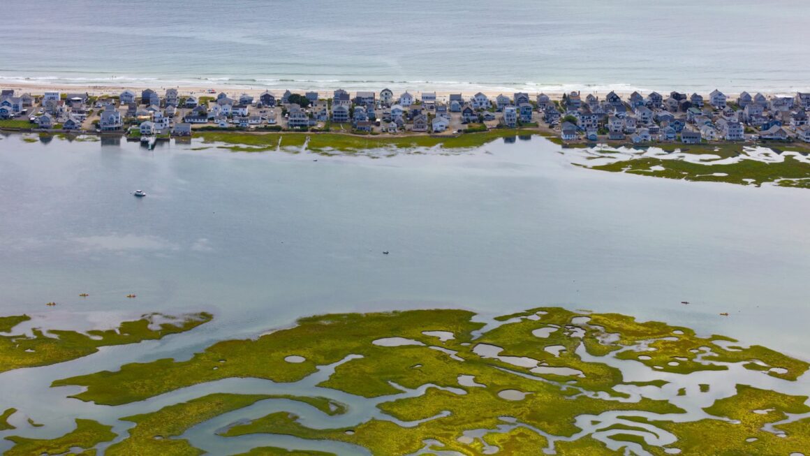 Aerial view of many homes that are sandwiched between a march and the ocean